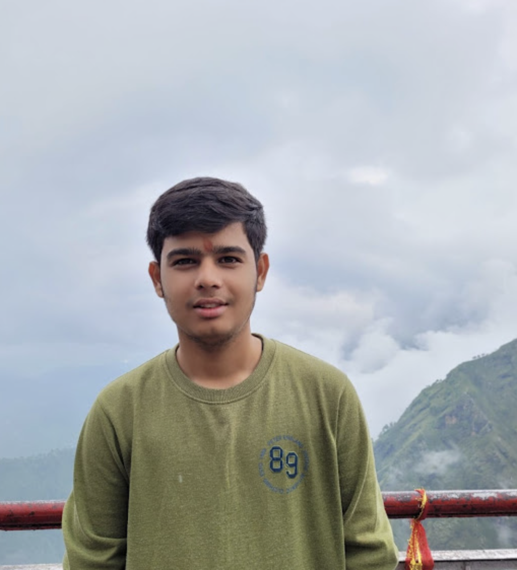 Lead Developer